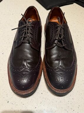 Alden Wingtip Brogue Leather shell cardovan - Dark Brown D1504C shoes